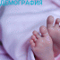 Ежемесячная  выплата в связи с рождением (усыновлением) первого ребенка - Газета Муйская новь